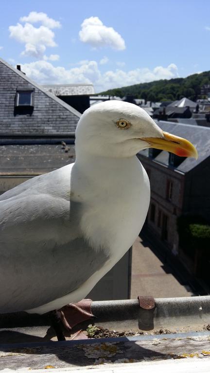 Les Galets Bleus Bed & Breakfast Etretat Bagian luar foto